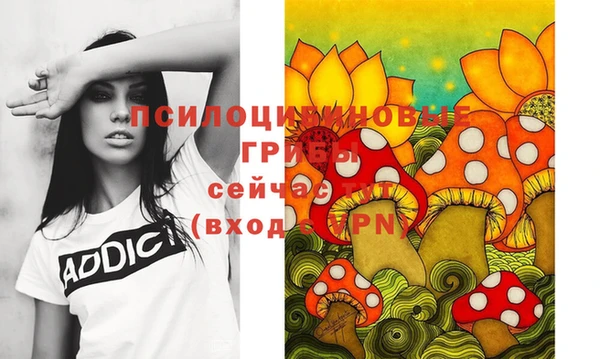 гидра Алзамай